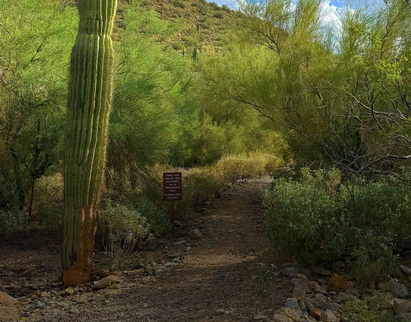 One Hundred Hills Homeowner Association | Walking Trail